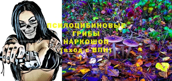 гидропоника Алексеевка