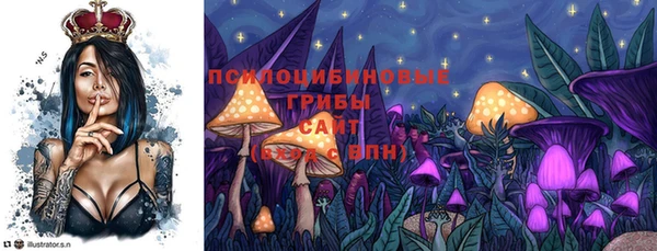 гидропоника Алексеевка