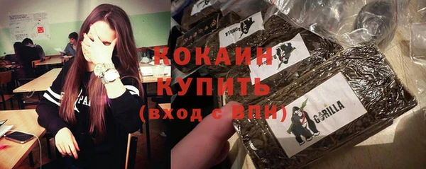 дживик Алзамай