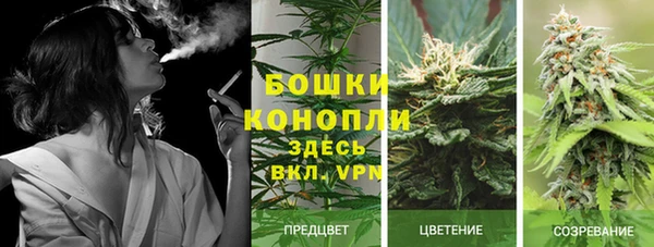 гидропоника Алексеевка