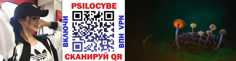 закладки  Протвино  Псилоцибиновые грибы мицелий 