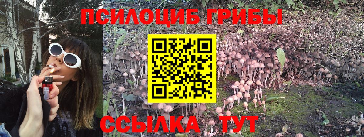 Галлюциногенные грибы Psilocybe  Вход с VPN  Протвино 